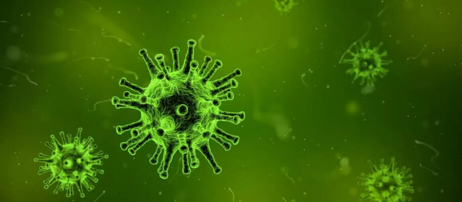 Kann die Plasmacluster-Technologie Viren entfernen? - Kann die Plasmacluster-Technologie Viren entfernen?